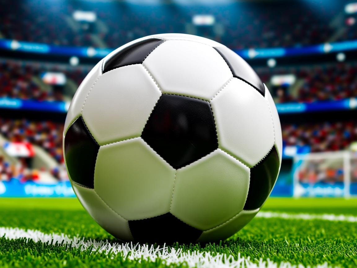 米兰体育app-冠军选手体能分配策略研究，冠军选手体能分配策略研究报告